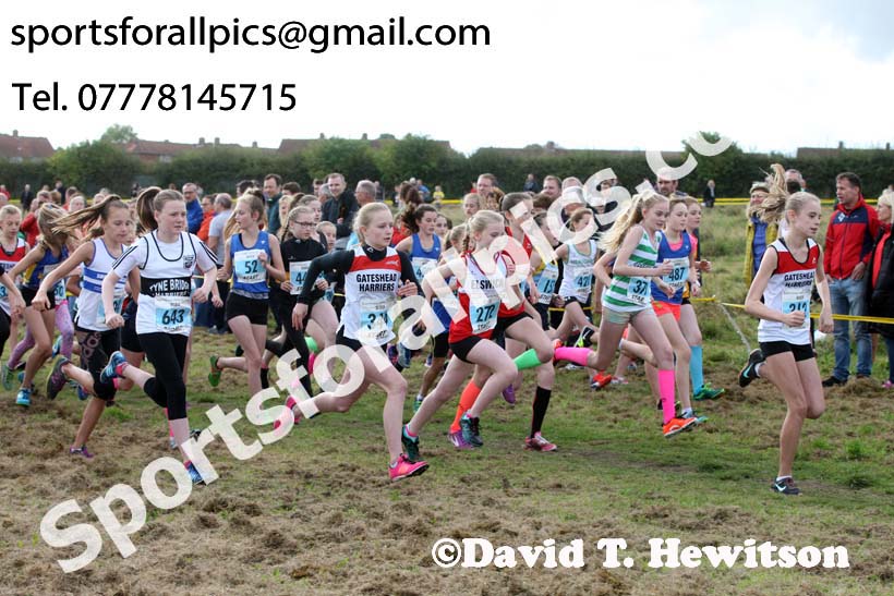 Girls under-13s Start Fitness North Eastern Harriers League, Wrekenton, Gateshead. Photo:  David T. Hewitson/Sports for All Pics